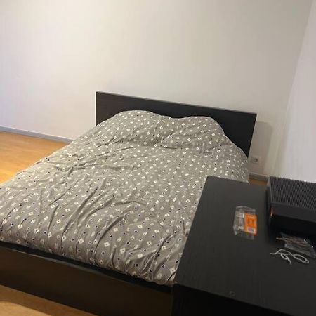 Studio A 2 Minutes De La Gare Apartment Mulhouse Exterior foto